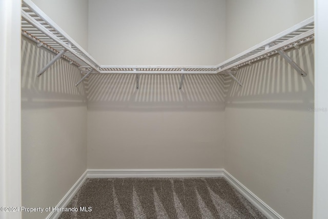 walk in closet featuring carpet