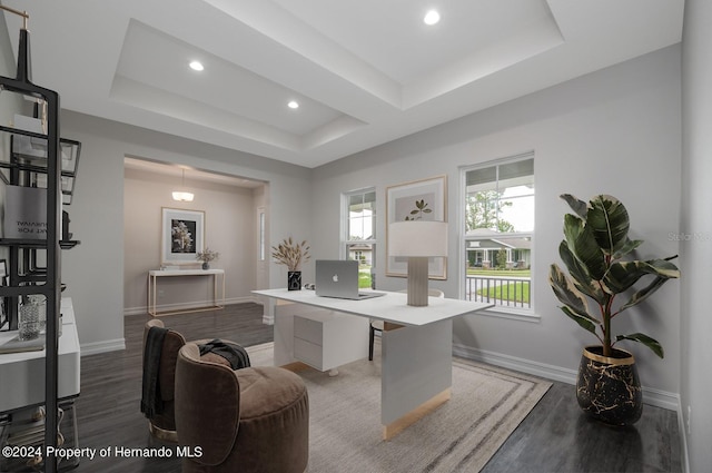 office featuring dark wood-type flooring and a tray ceiling