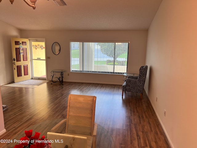 living area featuring dark wood-type flooring