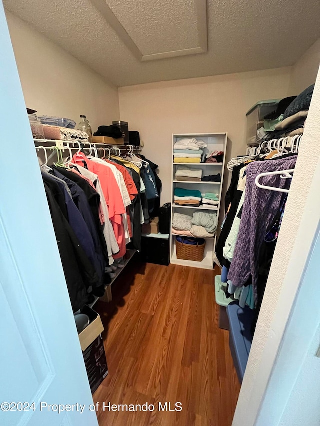 walk in closet with hardwood / wood-style flooring