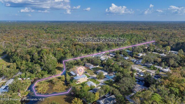 6435 Finance Ave, Weeki Wachee, FL 34607 - photo 2