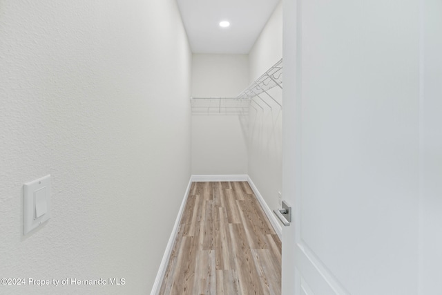 spacious closet featuring light wood-type flooring