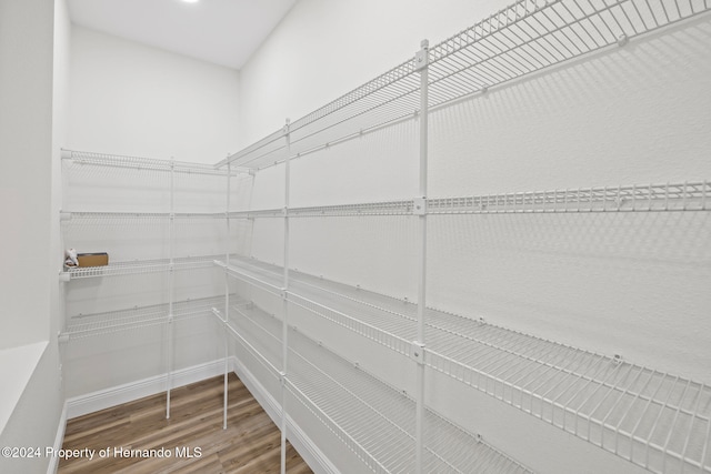 walk in closet featuring wood-type flooring