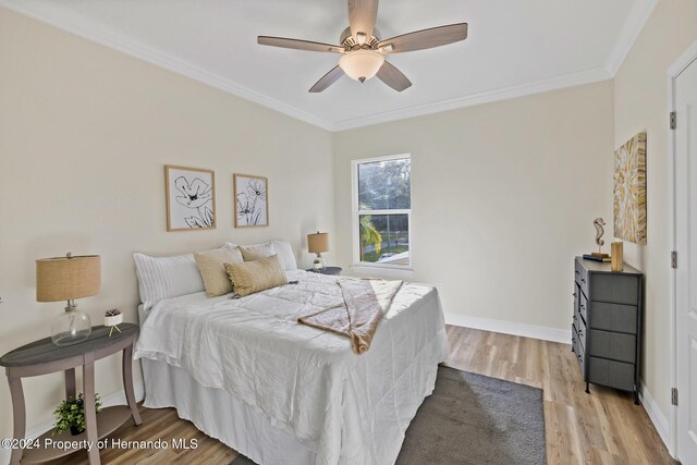 6435 Finance Ave, Weeki Wachee, FL 34607 - photo 16