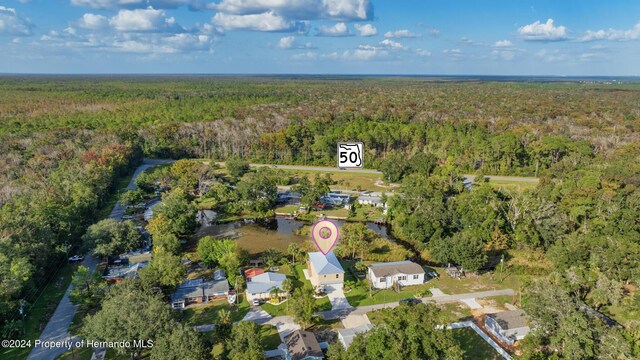 6435 Finance Ave, Weeki Wachee, FL 34607 - photo 26