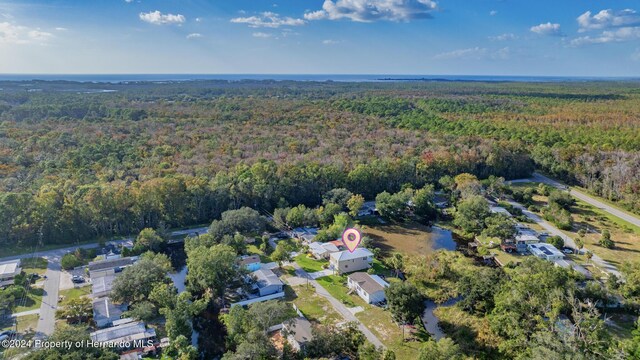 6435 Finance Ave, Weeki Wachee, FL 34607 - photo 28
