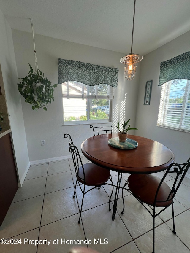 tiled dining room featuring plenty of natural light