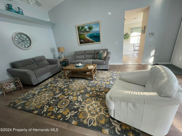 living room with wood-type flooring and lofted ceiling