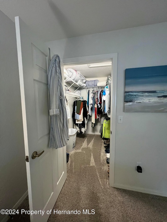 walk in closet with carpet