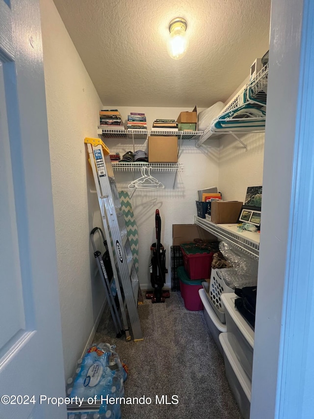 walk in closet featuring dark colored carpet