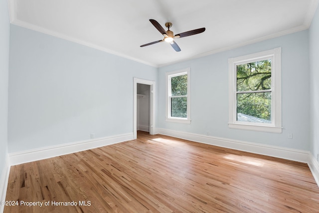 unfurnished bedroom featuring light hardwood / wood-style floors, ornamental molding, ceiling fan, a walk in closet, and a closet