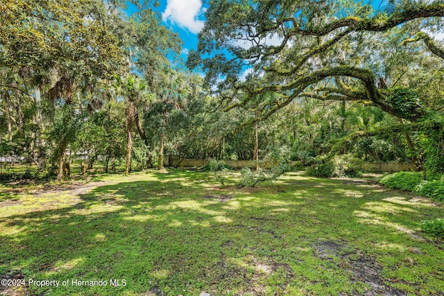 321 Brooksville Ave, Brooksville, FL 34601 - photo 63
