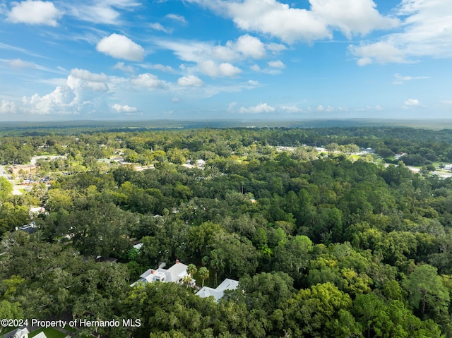 321 Brooksville Ave, Brooksville, FL 34601 - photo 65