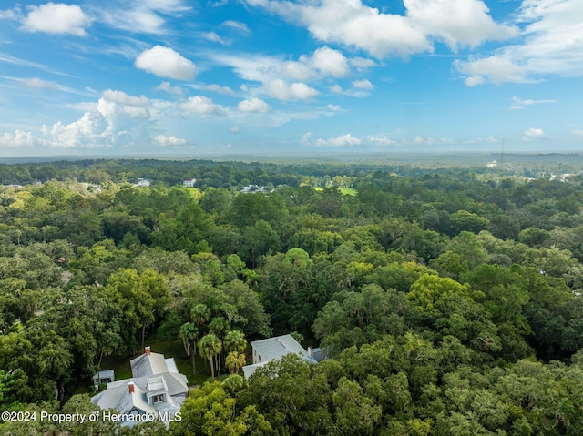 bird's eye view