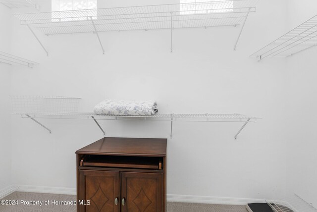 spacious closet with light colored carpet