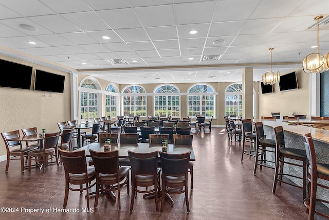 dining area featuring a drop ceiling, dark hardwood / wood-style floors, and plenty of natural light