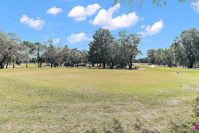 view of property's community with a lawn