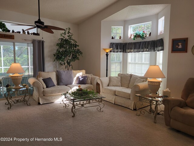 living room with ceiling fan, a textured ceiling, and carpet flooring