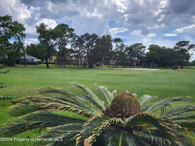 view of property's community featuring a lawn