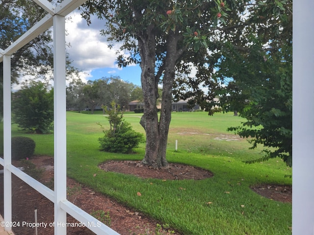 9355 Southern Belle Dr, Weeki Wachee, FL 34613 - view of grassy yard
