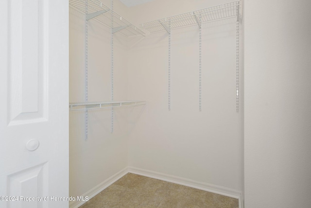 spacious closet with carpet floors