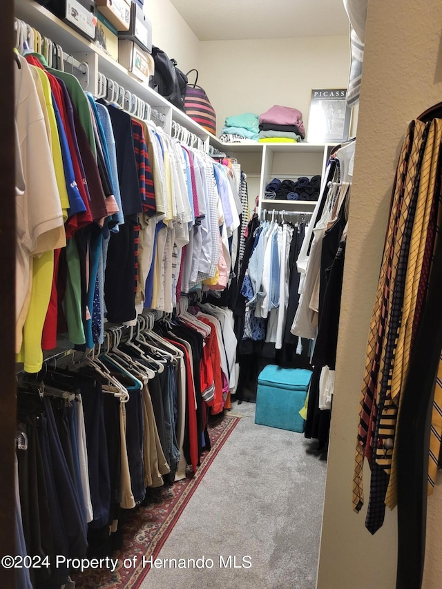 spacious closet with carpet floors