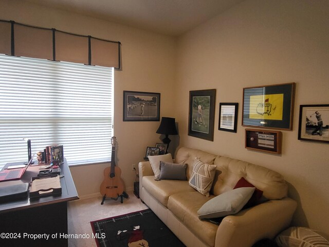 view of carpeted living room