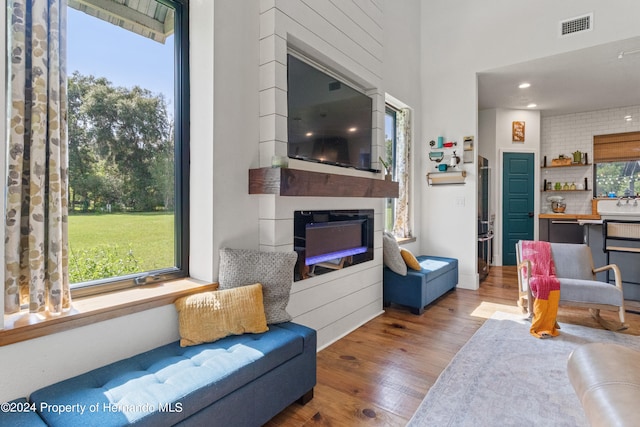 living room featuring hardwood / wood-style floors and a fireplace