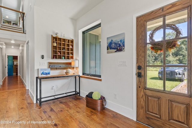 foyer entrance with hardwood / wood-style floors and plenty of natural light