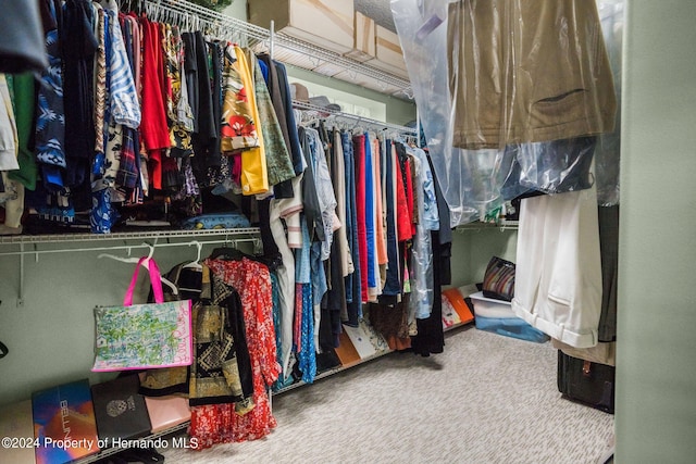 walk in closet featuring carpet flooring