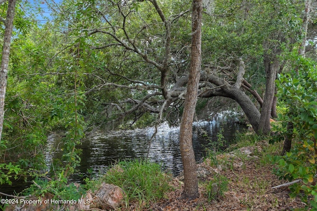 11972 W Riverhaven Dr, Homosassa, FL 34448 - photo 63