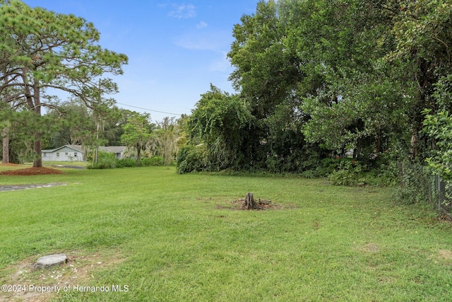 view of yard