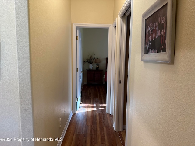 hall with dark hardwood / wood-style floors