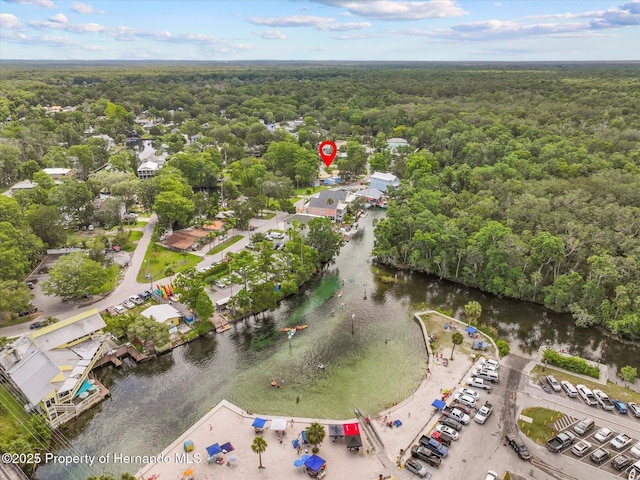 5469 Darlene St, Weeki Wachee, FL 34607