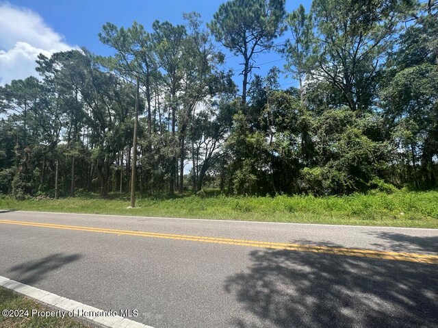 0 Madonna Dr, Webster, FL 33597