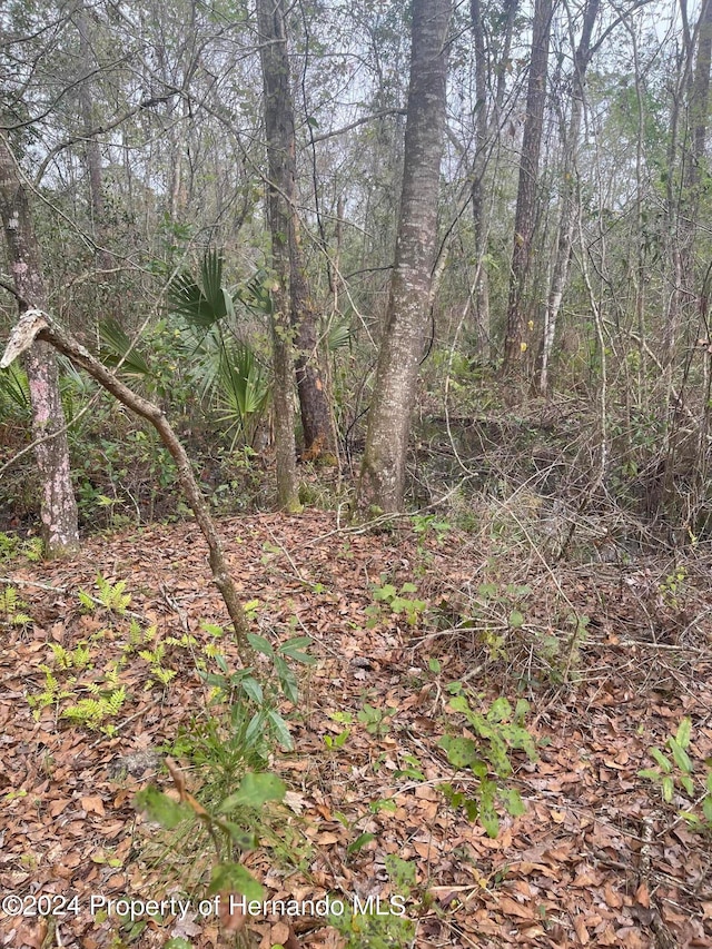 0 Nuzum Rd, Weeki Wachee FL, 34613 land for sale