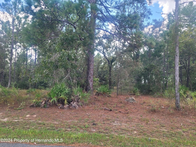 10298 Meadow Wren Ave, Weeki Wachee FL, 34613 land for sale