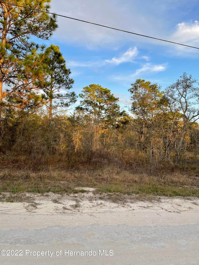 0 Everglades Kite Rd, Weeki Wachee FL, 34614 land for sale