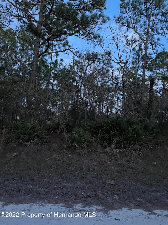 0 Malibar Rd, Weeki Wachee FL, 34614 land for sale