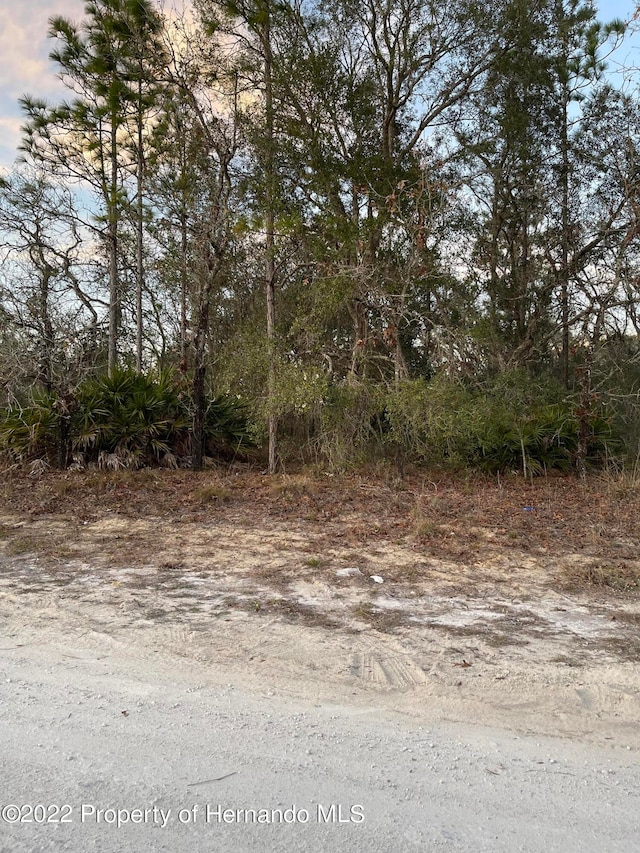 0 Eadom, Weeki Wachee FL, 34614 land for sale