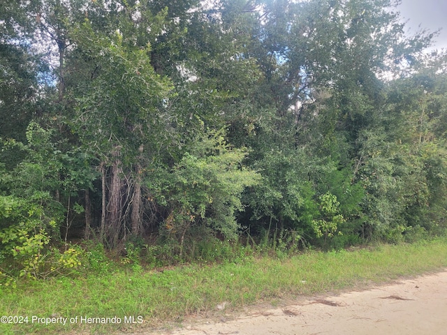 13378 Canyon Swallow Rd, Weeki Wachee, FL 34614