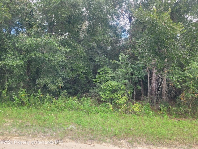 13378 Canyon Swallow Rd, Weeki Wachee, FL 34614