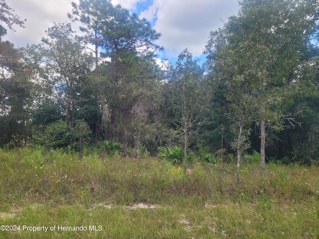 13442 Cormorant Rd, Weeki Wachee FL, 34614 land for sale