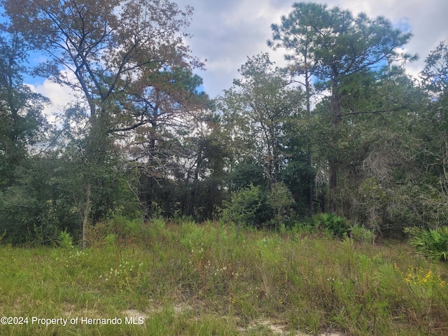 13442 Cormorant Rd, Weeki Wachee, FL 34614