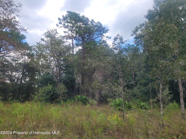 13442 Cormorant Rd, Weeki Wachee, FL 34614