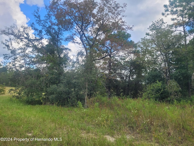 13442 Cormorant Rd, Weeki Wachee, FL 34614