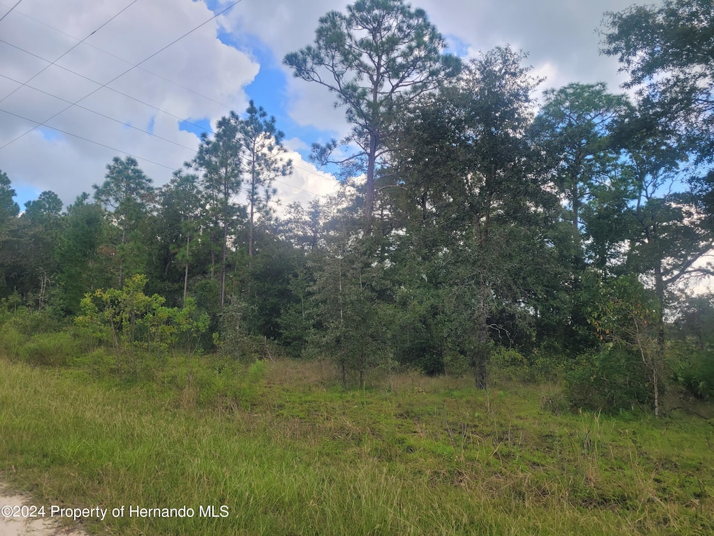 14020 Cedarwood Ave, Weeki Wachee, FL 34614