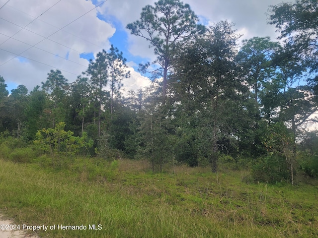 14020 Cedarwood Ave, Weeki Wachee, FL 34614