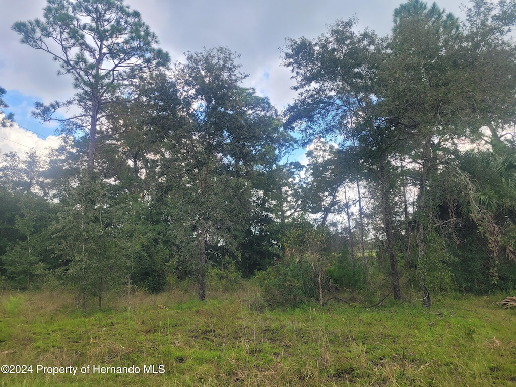 14020 Cedarwood Ave, Weeki Wachee, FL 34614