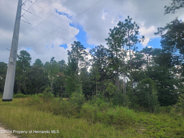 14020 Cedarwood Ave, Weeki Wachee, FL 34614